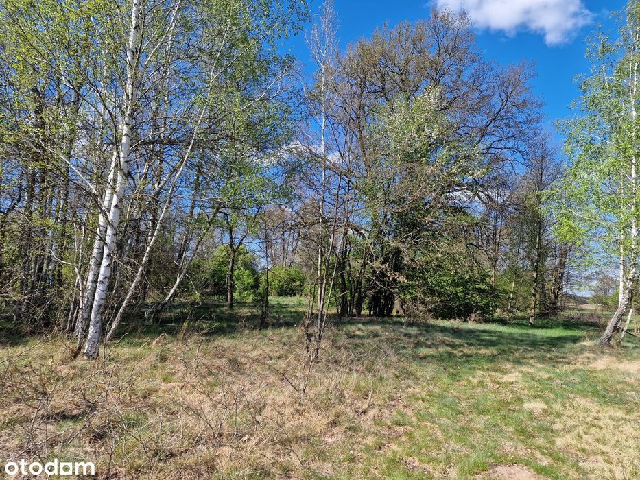 Działka rolna 4600 m² (okolica letniskowa) Sekłak blisko rzeki Liwiec