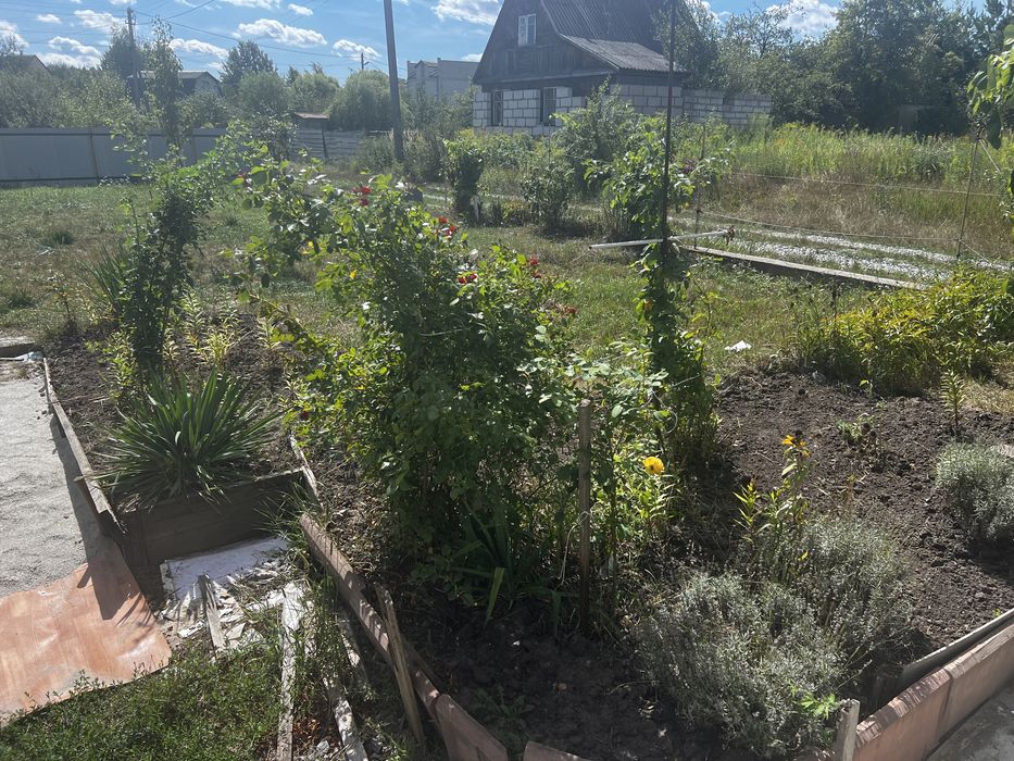 Новий будинок, Барашівський масив