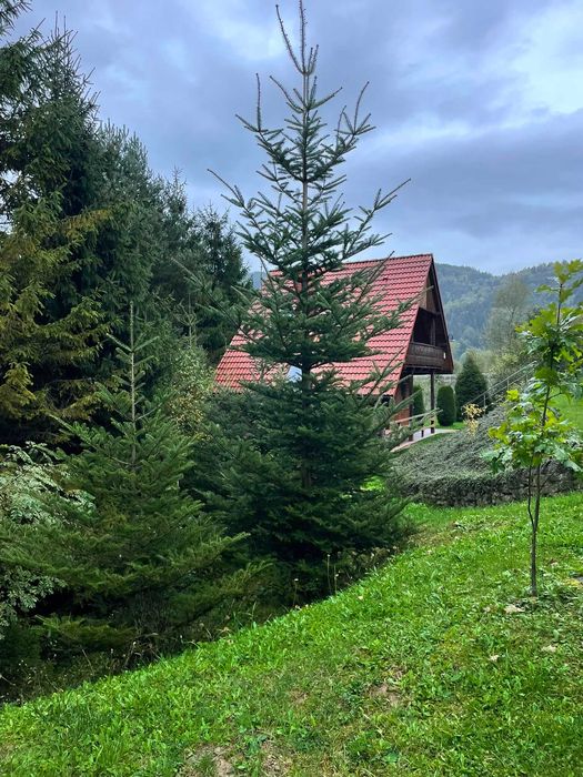 Domek "na Majdanie" Muszyna