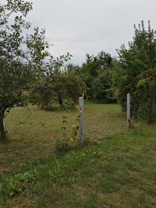 Działka ROD im. Kościuszki Sandomierz