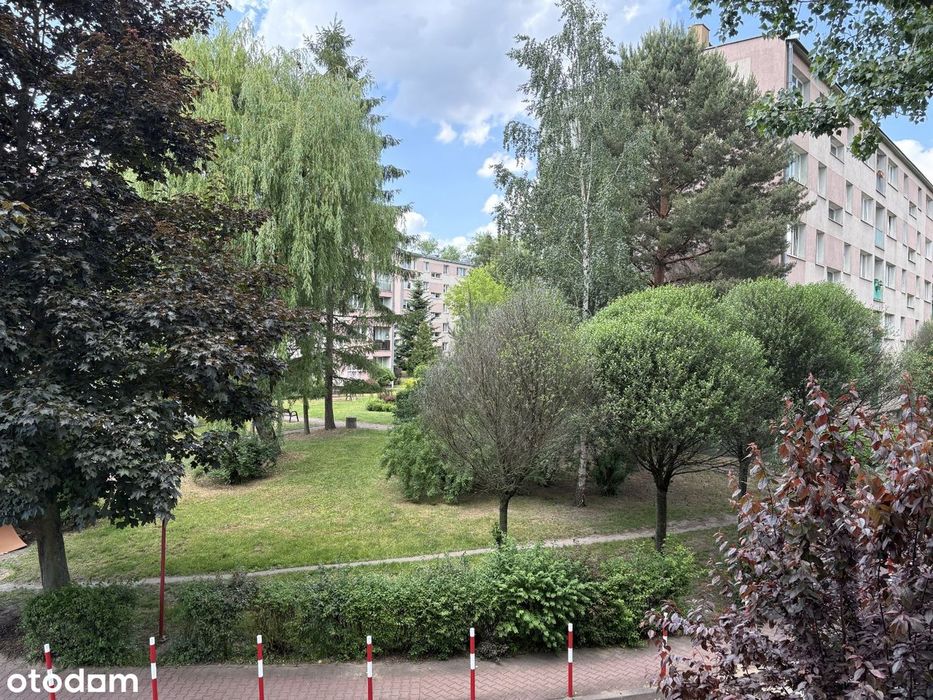 2 pokoje | 46 m² | I piętro | balkon | duża piwnica | Armii Krajowej - Widok 2
