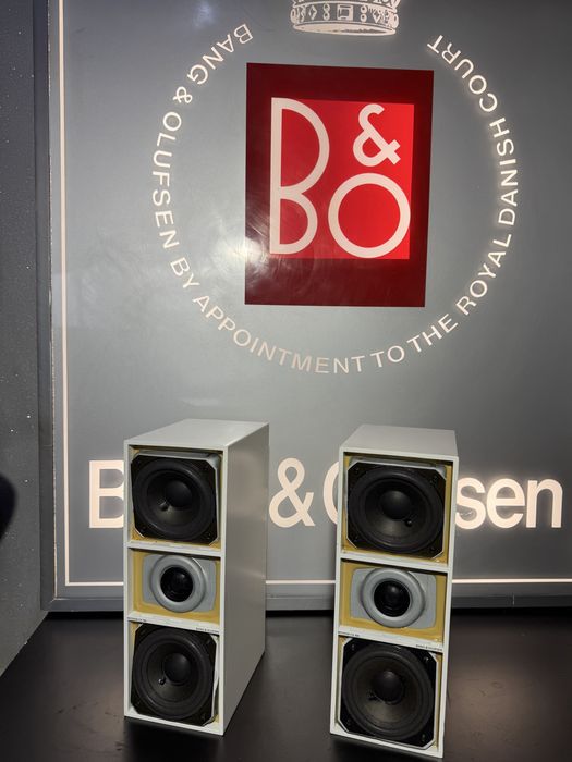 Bang Olufsen beovox CX100