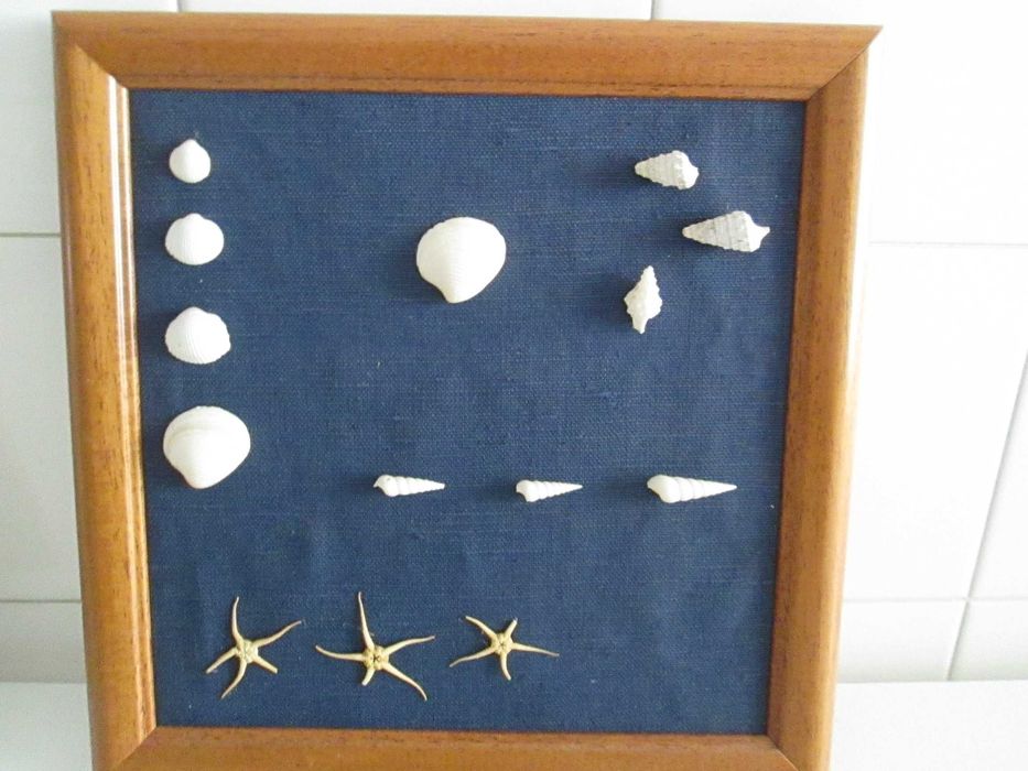 2 frames made with real seashells64297521528194121