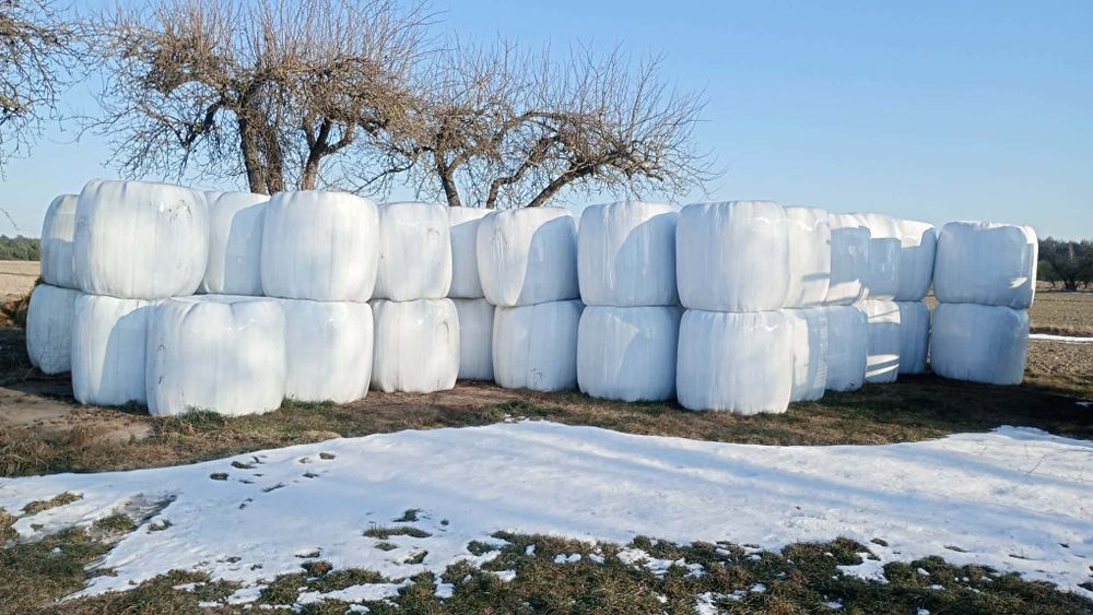 Sianokiszonki na sprzedaż