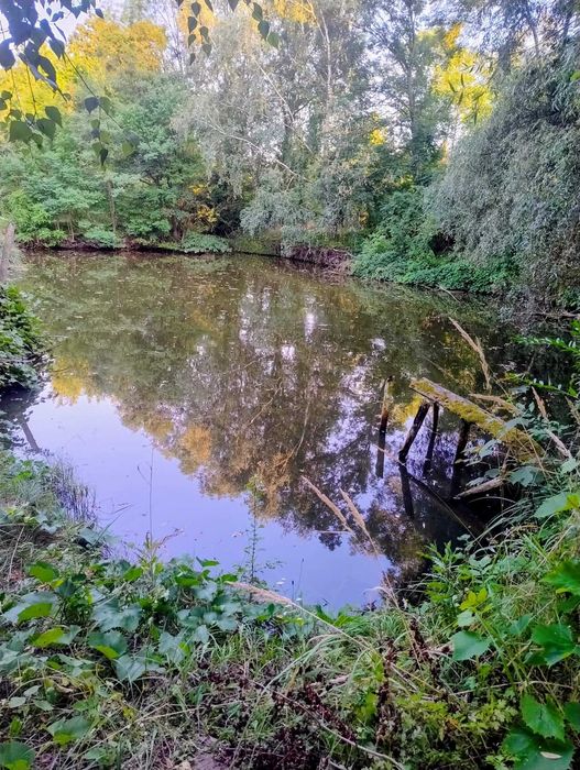 sprzedam działkę budowlaną - Widok 3