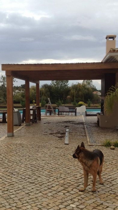 Pérgula em Madeira por medida/Pergola