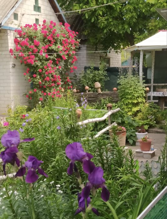 Дача з грубою, великим каміном та банею