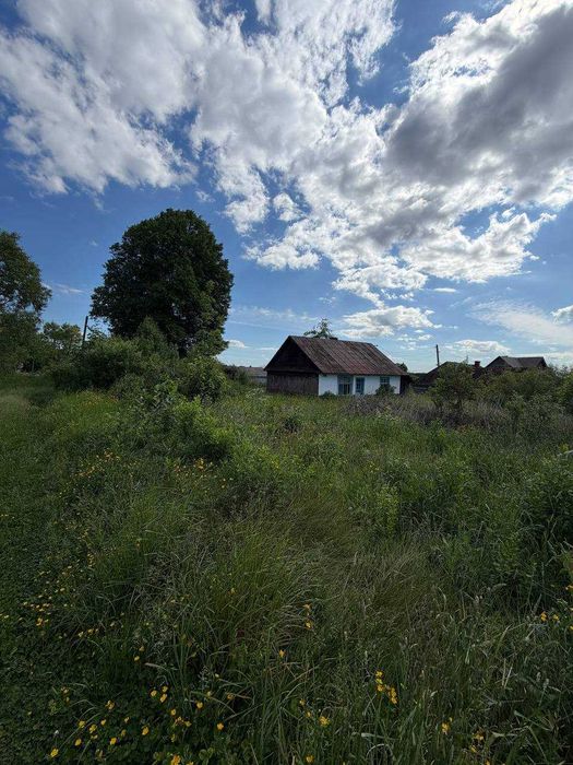 Продаж дерев'яного будинку