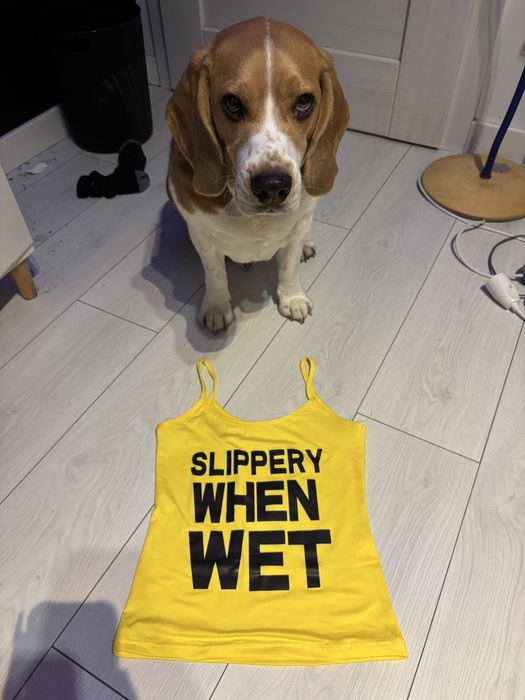 Slippery When WET top na ramiączkach WOW