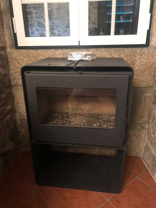 Salamandra em bom estado