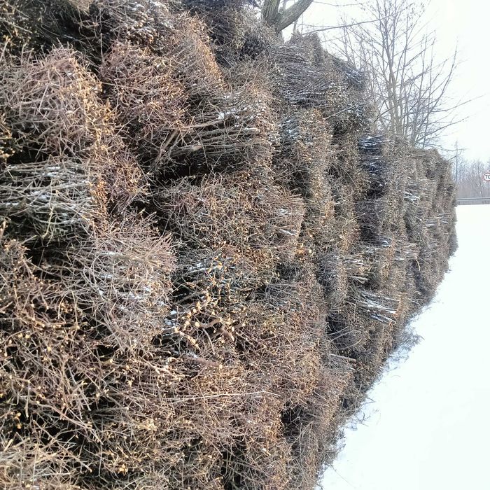 Montaż, układanie tarniny. Cała Polska