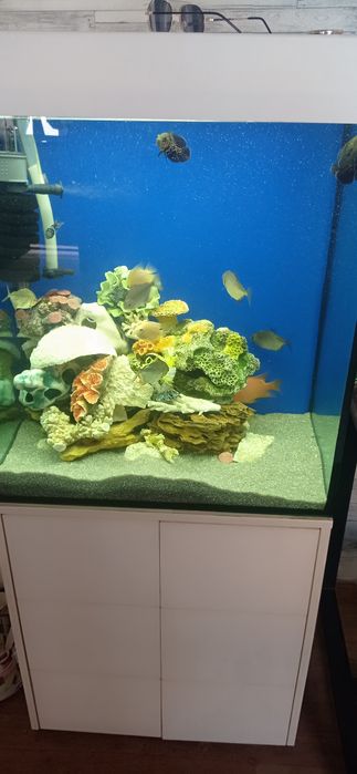 Продається акваріум повністю з усім ціна договірна акваріум до 200 л