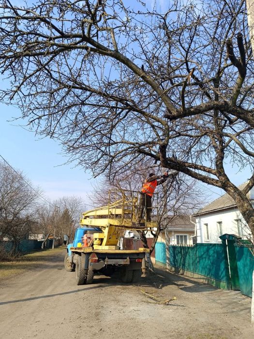 Видалення дерев,підрізання,благоустрій.