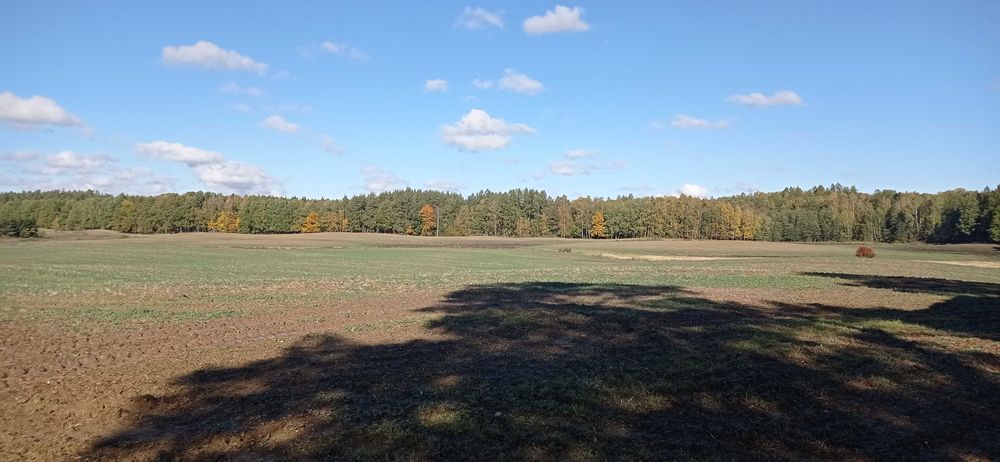 10,52 ha TUZ - łąki/pastwiska - jeden kawałek - dopłaty - gmina Kiwity