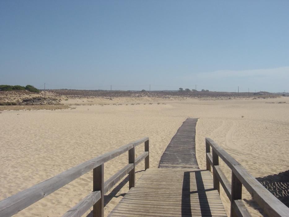 T1 Férias Avenida Praia Mar Armação Pêra Algarve