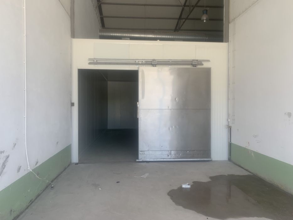 Câmaras Frigoríficas Usadas com Garantia | | Revisadas pela Frilux