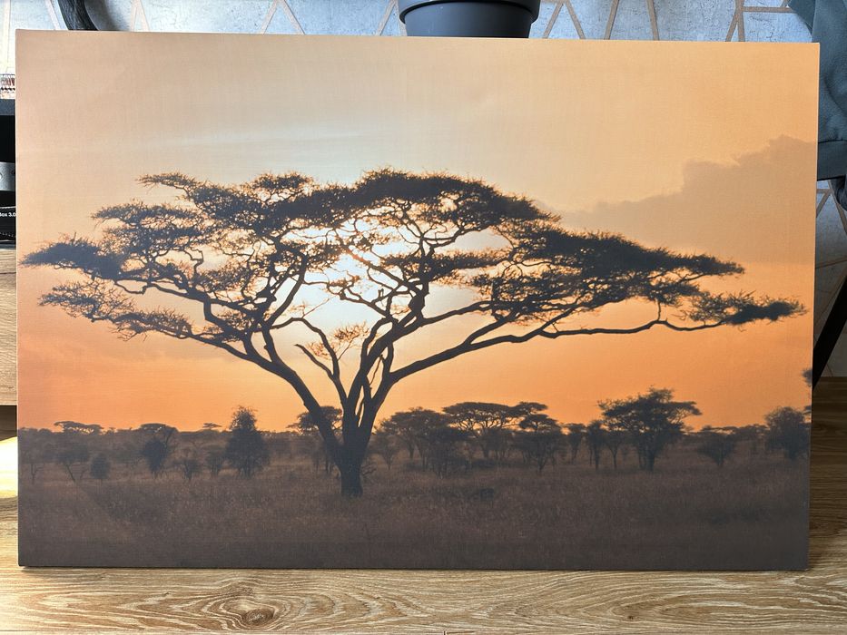 Pejzaż afrykański obraz na płótnie 90x60cm