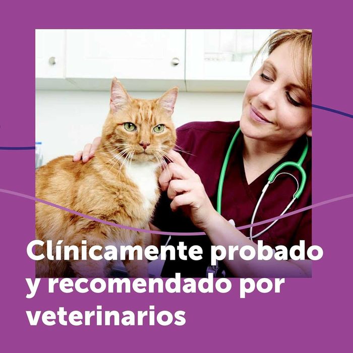 FELIWAY Classic - Difusor + Recarga de feromonas calmantes para gatos - Ajuda a reduzir o stress.