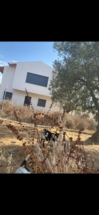 Casa no alentejo