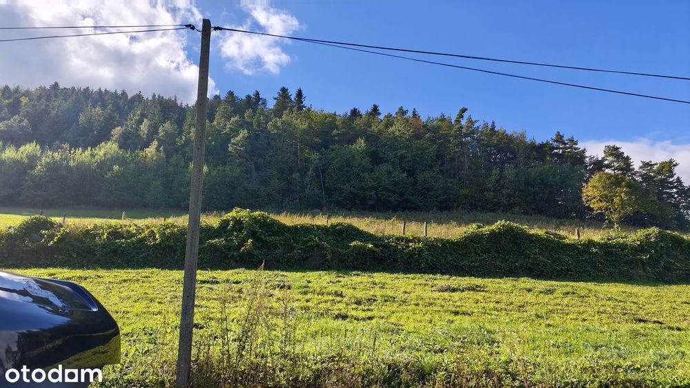 Działka leśna w malowniczej okolicy gór, Wronowice