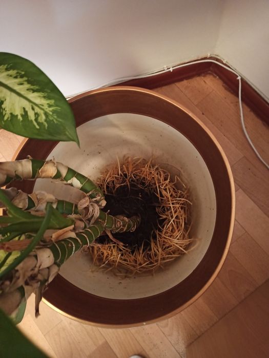 Вазон для квітів великий