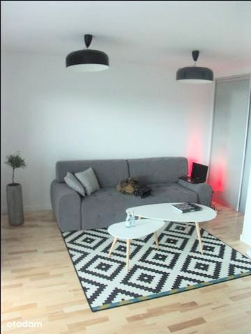 Apartment in Olsztyn, Podgrodzie - Widok 5