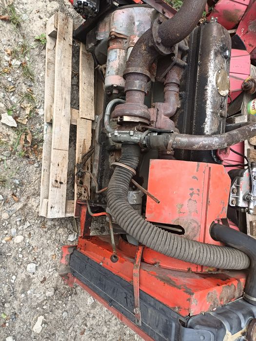 ＢIGＢＡＮ BIZON REKORD SUPER Z056 SAMPO KOMBAJN Z058 GIGANT - Opinie i