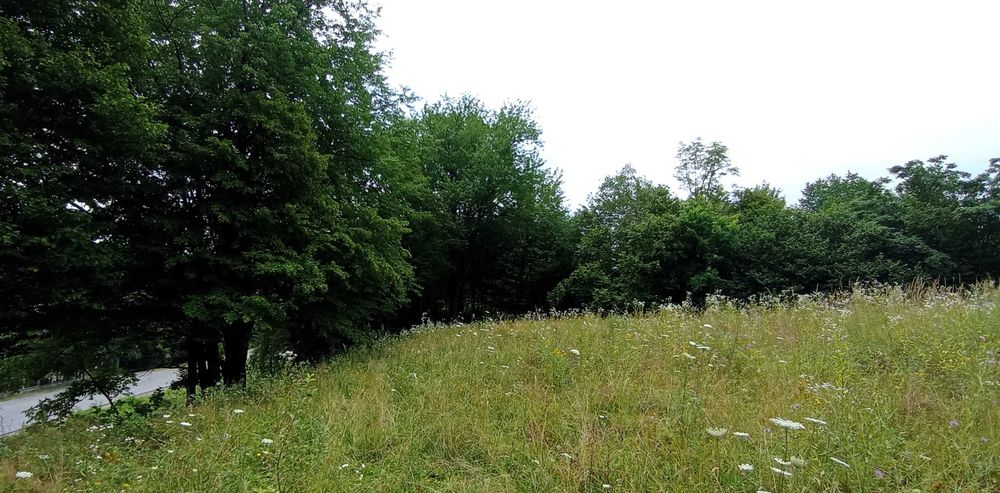 Ціну змінено! Продаємо ділянку у Квітки Полонини Солочин Закарпатськ