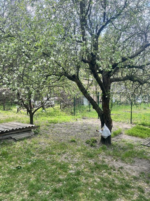 Жорнівка продаж пів будинку 4 кімнати Газ/Камін з виходом в Ліс