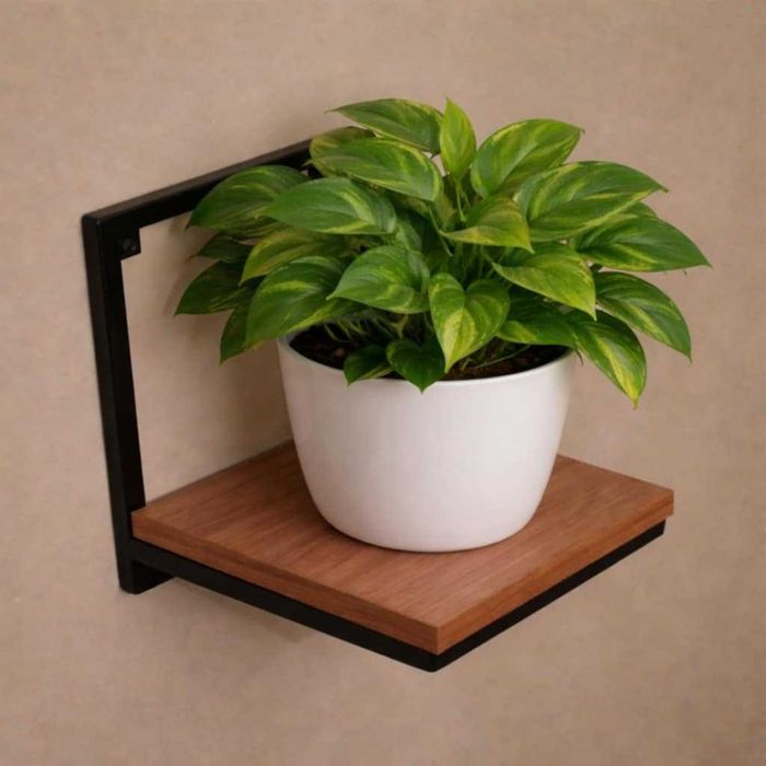 Półka na kwiaty ścienna