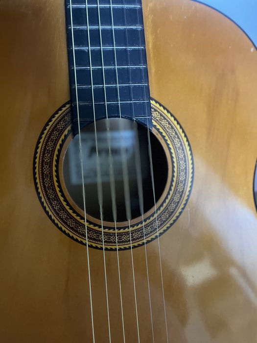 Viola com cordas .