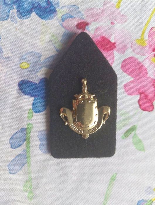 3 Odznaki pułku Dania i patka