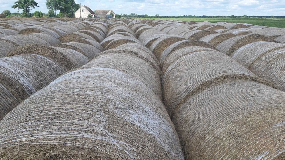 Sprzedam Siano Dla Bydła,Koni