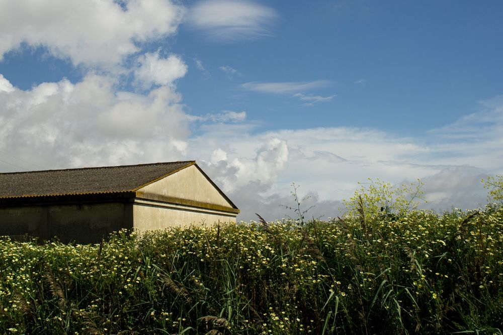 Lente Canon FD 35-105 f3.5