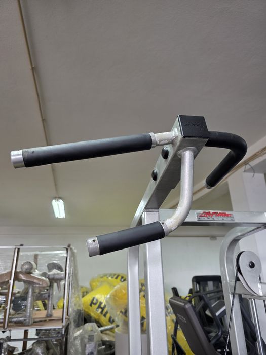 Life Fitness Easy Chin Dip