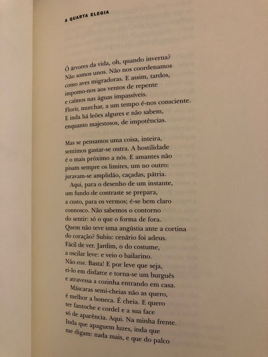 Relâmpago Revista de Poesia n.º 17 e n.º 25