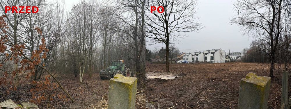 Oczyszczanie działki Wadowice | usuwanie zarośli pod budowę