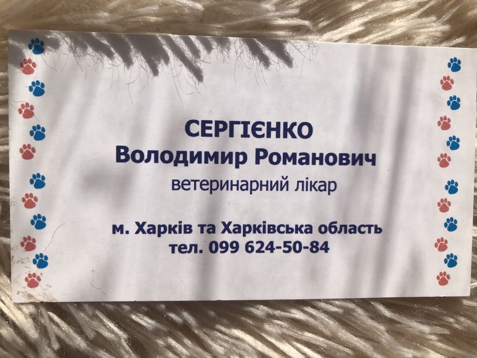 Ветеринар на виїзд Харків | вакцинація, стерилізація, уколи