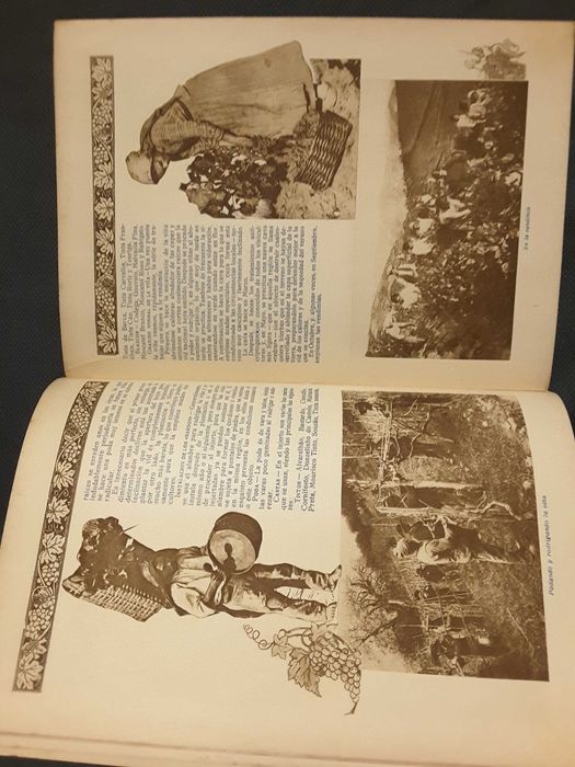 O Vinho do Porto (1929) / Vinho, História das Civilizações e a Cultura