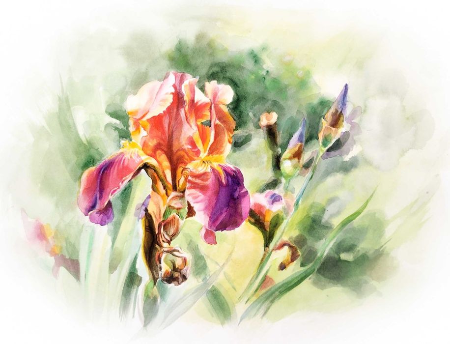 Akwarele, obrazy oryginalne, różne, ręczne malowane "Irysy"
