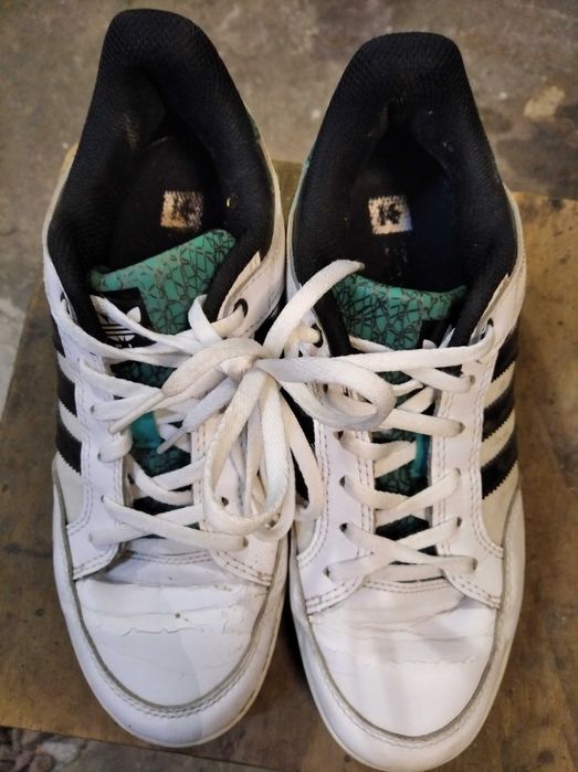 Кросівки від adidas