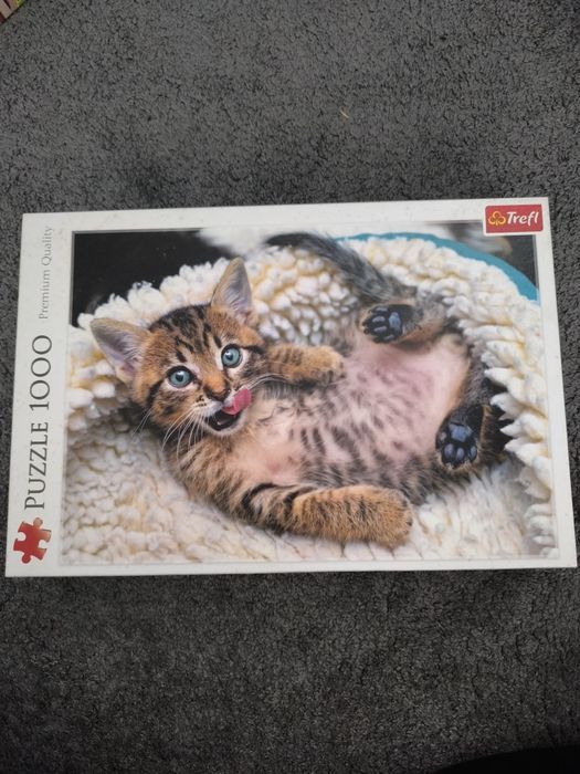 Пазли 1000 шт. Кошеня (котеня)