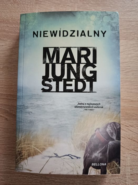 Niewidzialny - Mari Jungstedt