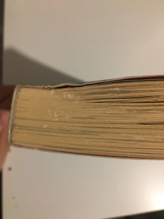 „Chłopiec, Który Hodował Smoki” Andy’ego Shepherd’a