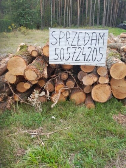 Drewno opalowe Dąb w wałkach o dl 125cm opał kominkowe