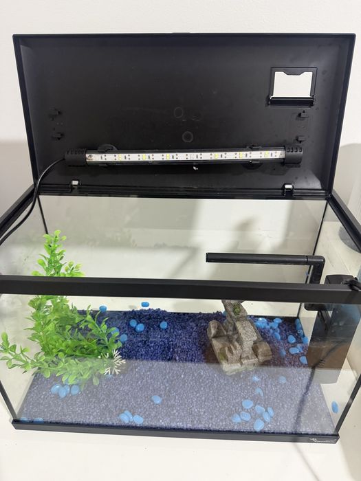 Aquario Completo