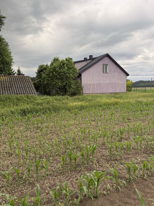 Sprzedam siedlisko