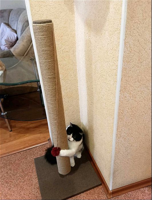 Когтеточка 100,120 см .кігтеточка