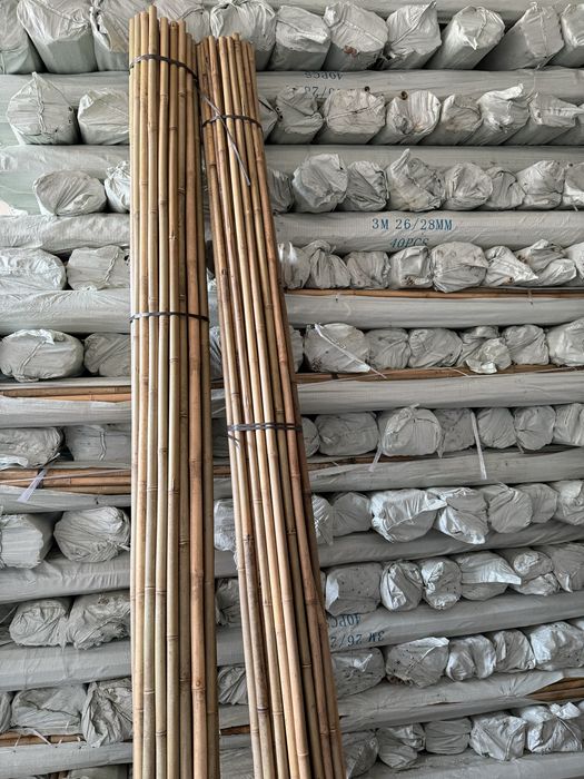 Tyczka bambusowa sadownicza dł. 295 cm śr. 26/28 mm, bambus, tyczki