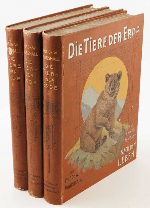 Stare książki po niemiecku: Zwierzęta Ziemi 1920r. -Die Tiere Der Erde